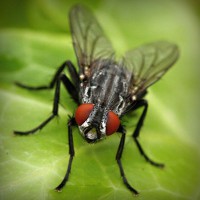 /album/inoutesbran/photolia-a01-jpg/