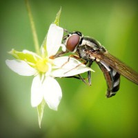 /album/inoutesbran/photolia-a02-jpg/