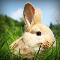 /album/inoutesbran/photolia-a03-jpg/