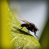 /album/inoutesbran/photolia-a04-jpg/