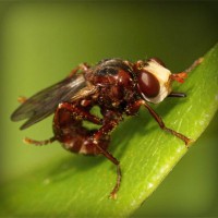 /album/inoutesbran/photolia-a06-jpg/