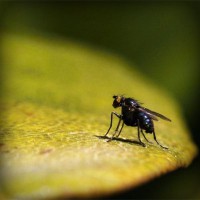 /album/inoutesbran/photolia-a07-jpg/