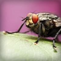 /album/inoutesbran/photolia-a08-jpg/